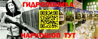 крисы Ярославль