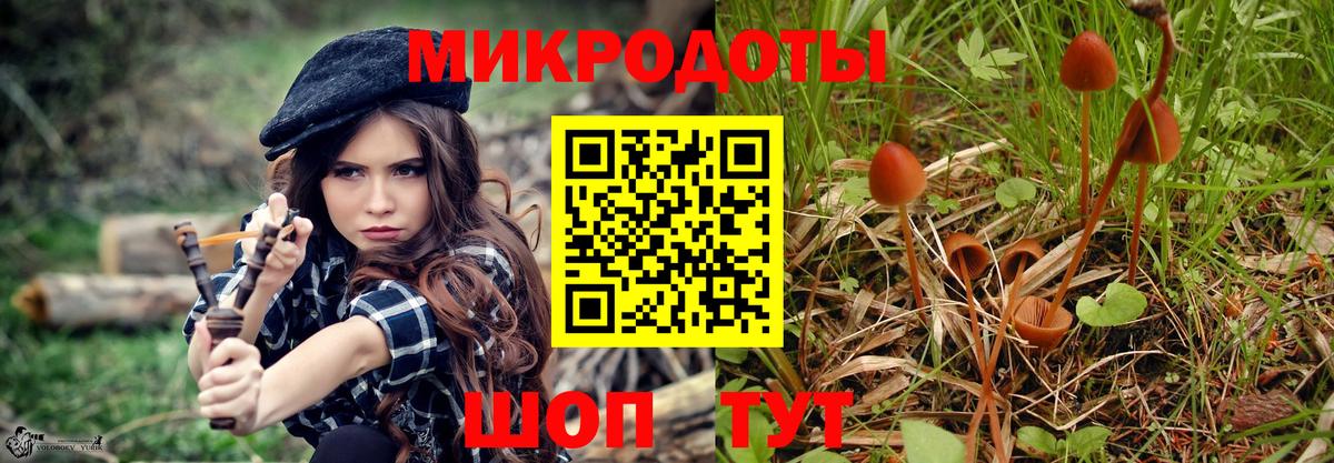 Псилоцибиновые грибы Psilocybine cubensis Ангарск
